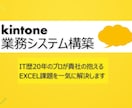kintoneの業務システムを最短1週間で作ります 【IT歴20年】貴社の抱えるExcel課題を一気に解決します イメージ1