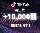 TikTok再生数＋10000回増加します 再生数＋10,000回～ TikTok宣伝・拡散します イメージ1