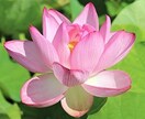 愚痴でも悩みでも。ゆるい関西弁で喋り＆聞きます 知らない人間だからこそ話せる事もあると思う。 イメージ1