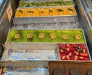 ベトナム市場の今を調査し〜ます ベトナム進出のリアルを全部教えます イメージ1