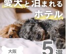 Instagramの投稿用画像作成します 世界観×集客を意識したデザインを作成します イメージ5