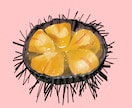 美味しそうで温かみのある食べ物イラストお描きします 思わず手を伸ばして食べてみたくなる絵をおひとついかがですか イメージ8