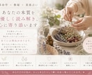 あなたの本質や関係性を優しく読み解きます 「あなたらしく生きるヒントを、優しくお届けします。 イメージ2