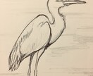 あなたの描いた絵にアドバイスします 絵を描き始めた初心者の方向け。ご相談も受付てます。 イメージ2