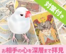 お相手の心を表層から深層まで霊感タロットで占います 対策付き！カード引きから約1時間で回答可※スケジュール確認要 イメージ1