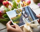 簡単な写真合成が作れます アプリを使って作ります。型があるのでその中でやっていきます。 イメージ4