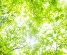 2022年の運気上昇させます 来年1年の運気を上げる為のヒーリングをします イメージ3