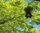 亡くなったあの人の声聞きます 亡くなった大切な人やペットの気持ちお伝えします。 イメージ1