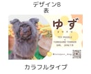 セミオーダー◎【ワンちゃん名刺】作成いたします 100枚セット◎うちの子をアピールするイチオシアイテム！ イメージ4