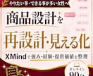 やりたい事・出来る事が多い女性の商品設計を整えます 学びすぎて散らかった思考をXMindで『再設計・見える化』へ イメージ1