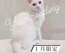 2025年の指針となるメッセージを降ろします 1年間のテーマと各12ヶ月分の世界に一つのメッセージ イメージ3