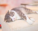 HSP・繊細さん・ACの方のお話を傾聴します 口では説明できないけど生きづらいという方のお話を聞きます イメージ1