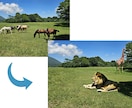 Photoshop 【5枚】AI加工・修正承ります 現役EC運用者が画像素材をサポート イメージ3