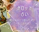 あの人の気持ち、仕事など何でも占います ☆恋愛、仕事、友人、家族など何でも占います☆ イメージ1