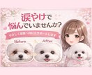 涙やけの原因と対策、丁寧にお伝えします 原因からケア方法まで丁寧にサポート イメージ1