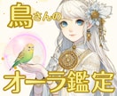 鳥さんの魂と心をオーラ鑑定いたします 小さなサインを見逃さず優しく読み解きます イメージ1