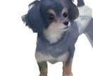 ペットの似顔絵を描きます 可愛いペットをイラストにします イメージ1