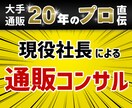 通信販売（オフライン）のお悩みご相談に乗ります 何をしても利益が上がらない通信販売の改善点をサポートします イメージ1
