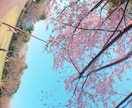 20代前半女性の気持ち、教えます 20代の女性の気持ちがわからない方、知りたい方 イメージ1