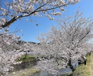 仕事復帰したい！でも不安。相談乗ります 仕事戻るのが怖い、仕事できるか不安、復帰までに体調を整えたい イメージ3