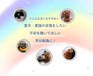 愛犬愛猫を看取った経験者がシニア期の不安聴きます シニア期・介護の不安や本音…一人で抱え込まずお話しください イメージ2