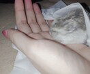 少しだけ話たい…１分でも、あなたのお話聞きます /愚痴/話たい/寂しいなど、年齢・性別関係なく、お気軽に☆ イメージ2