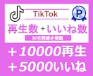 TikTokいいね＋Tiktok再生数を増やします TikToいいね＆再生数⭐️振り分け対応⭐️オプション充実 イメージ1