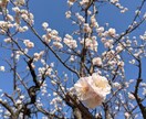 相談、雑談、あなたのお話相手になります 発達障害✳家族支援の経験あり◎お話して安心できる時間を！ イメージ1