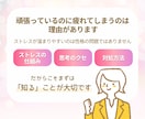 頭のモヤモヤを整理する思考整理コーチングをします ストレスの仕組みを理解しながら 自分に合う対処法を整理します イメージ3
