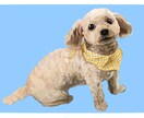 あたたかみのある似顔絵お描きします 愛犬、愛猫など大切なご家族の似顔絵はいかがですか？ イメージ2