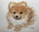 大切な愛犬の似顔絵を描きます 水彩画で色鮮やかな似顔絵を描きます！ イメージ1
