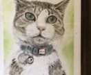 写真を元に動物の顔の似顔絵を描きます パステルアートで描くので柔らかく温かみのある似顔絵です。 イメージ3