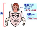 簡単ストレッチ方法おしえます 朝晩2,3種類のストレッチで太りずらい身体を手に入れましょう イメージ1