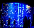 どんな写真もインスタ映えに加工いたします まるでプロのカメラマンが撮ったような画像に仕上げます イメージ8