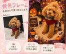 ペット写真を活かして背景フレーム加工します 背景フレームや季節イベント風のデザインに仕上げます。 イメージ1