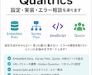 Qualtricsの設定・実装・エラー相談承ります Qualtricsに関するご相談に対応いたします イメージ1