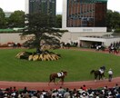 【JRA】競馬のレース展望を1Rにつき1000円で書きます。 イメージ1