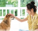 大切なペットちゃんの心の奥、気持ちを霊視鑑定します ペットの気持ち/ペットを亡くした/ペットロス/ペットは家族 イメージ1