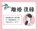 家庭裁判所調査官２０年以上の実績！親身に話聞きます 【実践的かつ有益】調停審判で疲れているあなたの話聞きます イメージ1