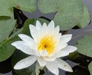 あなたに伝えたいことばがあります 母親の役割に囚われていませんか？あなたの悩みに寄り添います イメージ9