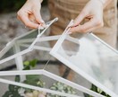 植物の話、します 植物好きな方、お話ししましょ！ イメージ3