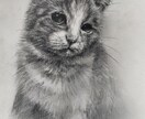 お気に入りのペットの写真をリアルな鉛筆画にします 額装してお届け、プレゼント用などにも イメージ6