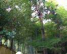 関西弁女子がお悩み相談聞かせて頂きます 関西弁女子です。どんなお悩みでも相談聞かせて下さい！ イメージ1