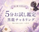 黒龍チャネリングを5分お試しで体験できます 相手の気持ち・仕事・人間関係から質問一つを読み解きます イメージ1