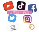 動画の英語字幕付けます あなたの動画、世界中の人に観てもらいませんか？ イメージ1