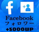 Facebookのフォロワー＋5000人増やします フェイスブックのフォロワー5000人増やします。減少保証有 イメージ1