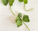 独りで抱え込んでいませんか？嫁姑問題の悩み聞きます ママカウンセラーがお聞きします！お気軽にご相談くださいね☆ イメージ6