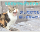 気ままに相談のります 知らない人にだからこそ打ち明けてみませんか？ イメージ1