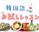 初心者むけ！お試しレッスンいたします ★現役大学非常勤講師が教えます(30分) イメージ1