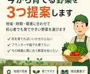 今から育てる野菜を3つ提案します 地域・時期・環境に合う育てやすい野菜を選びます イメージ1